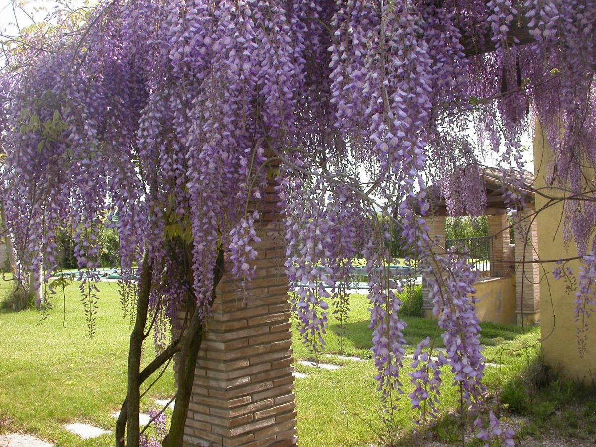 Casavacanze Sant'Eugenia Аттильяно Экстерьер фото