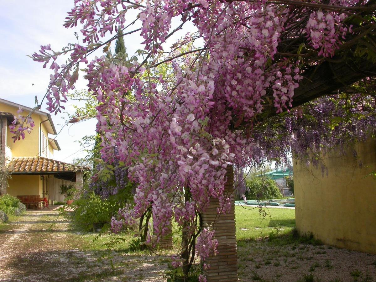 Casavacanze Sant'Eugenia Аттильяно Экстерьер фото